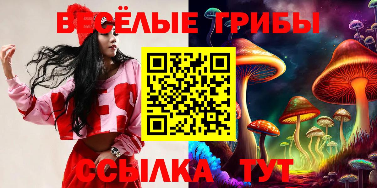 Снежинск  Галлюциногенные грибы прущие грибы  Псилоцибиновые грибы MAGIC MUSHROOMS  Вход с VPN 