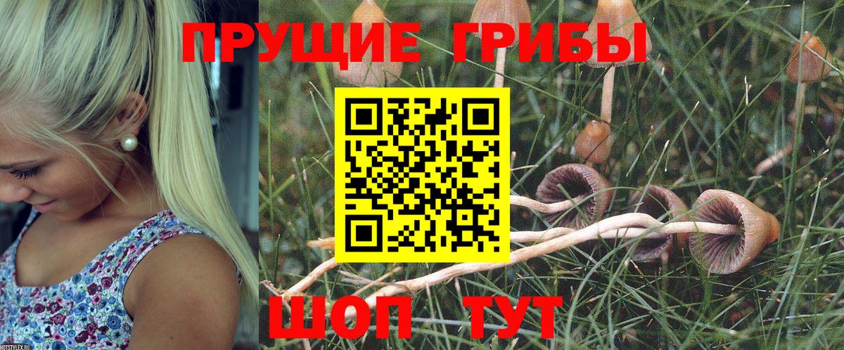 Псилоцибиновые грибы GOLDEN TEACHER Снежинск